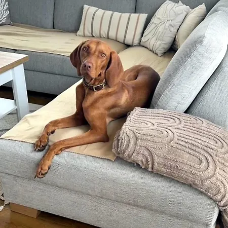 Ferienhaeuser Baltic Lagoon Haus 12a Fuhlendorf (Mecklenburg-Vorpommern)